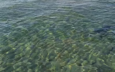 Zi perfectă la mare în Eforie: Ce măsuri recomandă salvamarii pentru o plajă fără griji